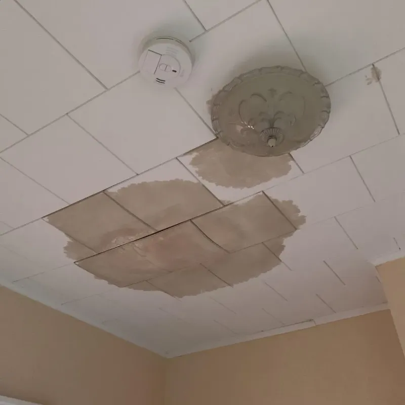 Ceiling Water Damage Repair in Koontz Lake, IN