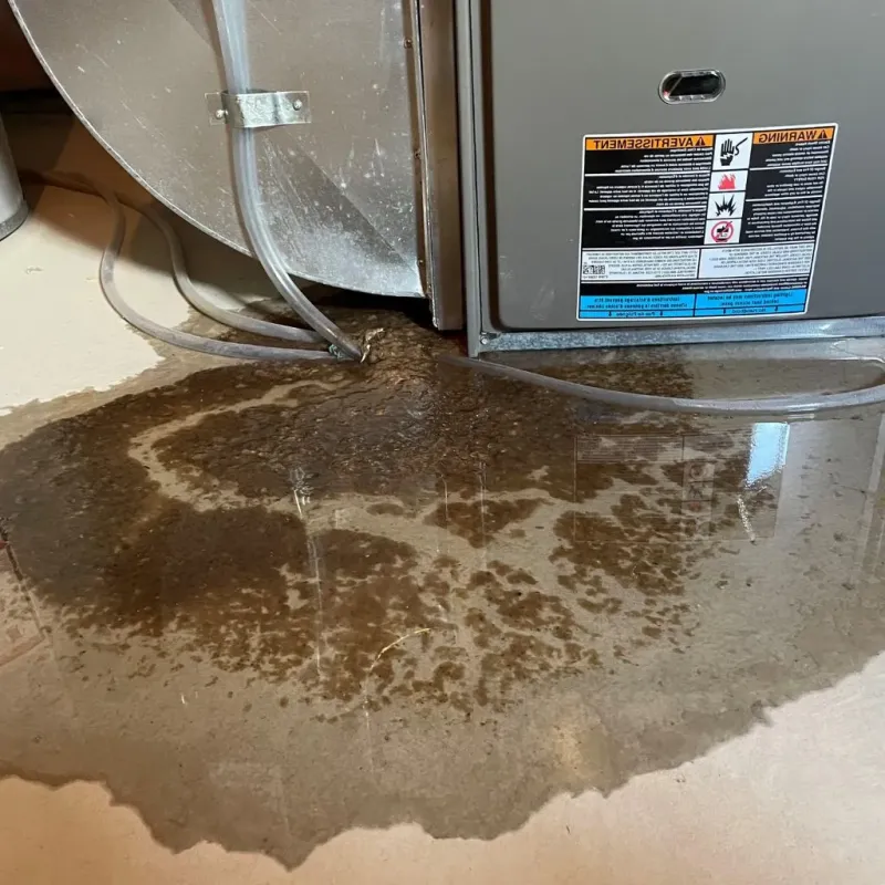 Pipe Burst and Leak Restoration in Koontz Lake, IN
