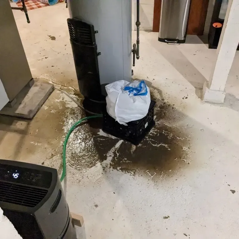 Sewage Backup Cleanup Service in Koontz Lake, IN